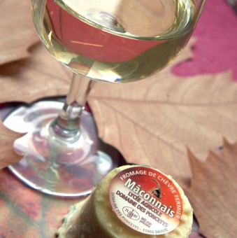 Domaine des Poncétys