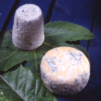 Délice de chèvre aux figues 