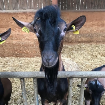 La Ferme de la Cruzille